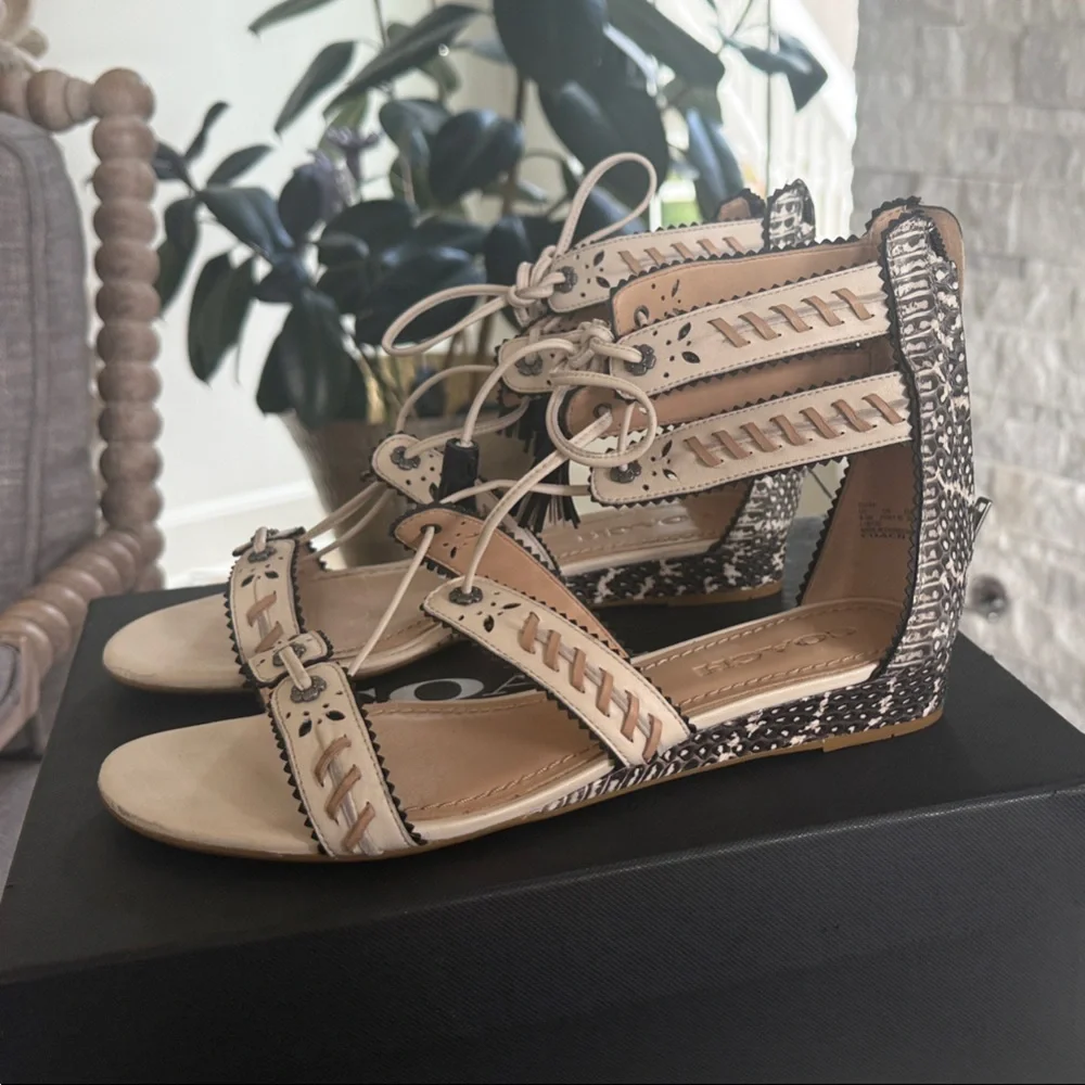 Coach Tan and Black Gladiator Sandals - Picture 1 of 5